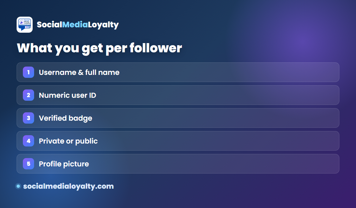 What an Instagram Followers API returns per user