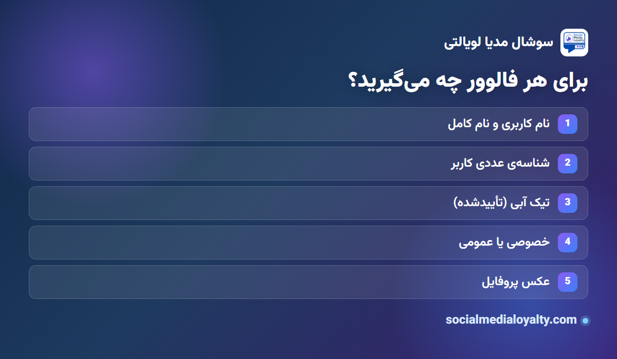 دادههای API فالوور اینستاگرام برای هر کاربر